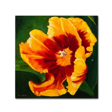 Trademark Fine Art